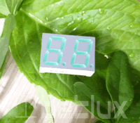 0.56 inch double seven segment led display